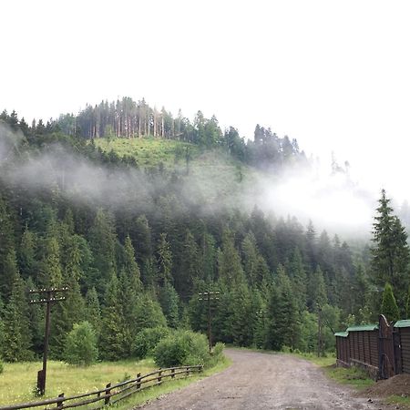 Лісовий Маєток Slavske Esterno foto