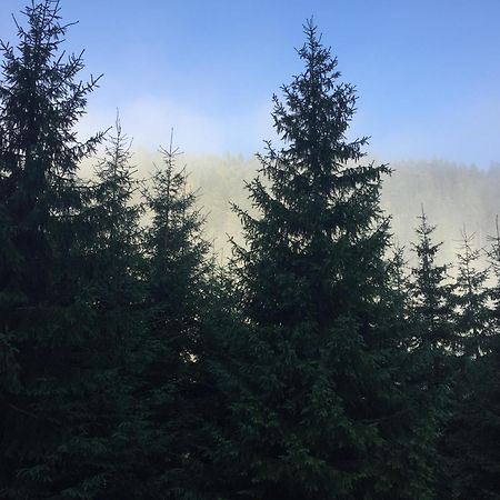 Лісовий Маєток Slavske Esterno foto