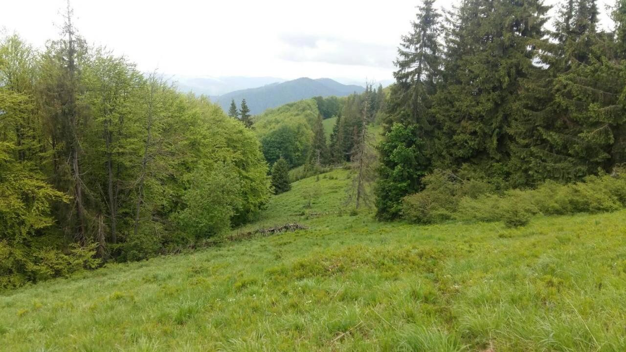 Лісовий Маєток Slavske Esterno foto