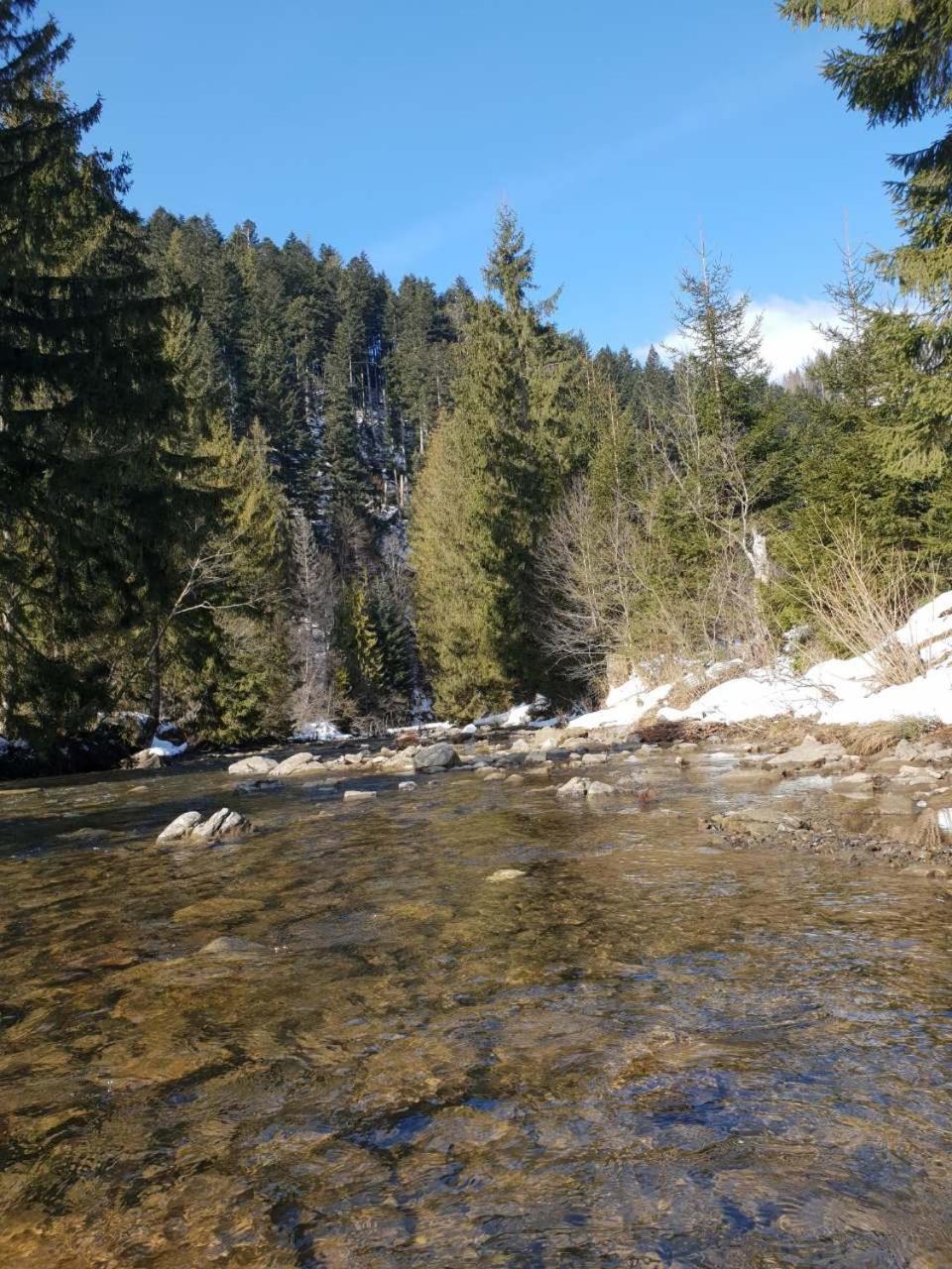 Лісовий Маєток Slavske Esterno foto