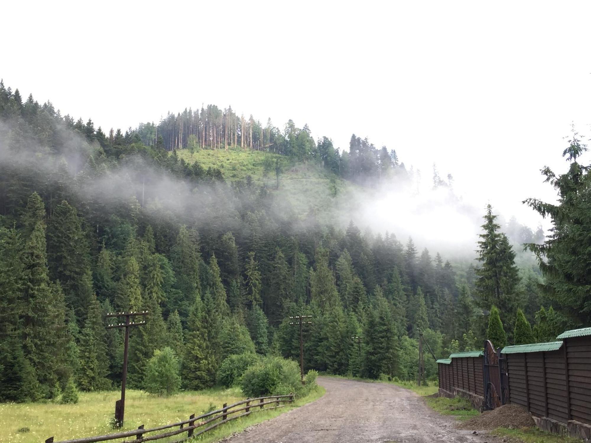 Лісовий Маєток Slavske Esterno foto