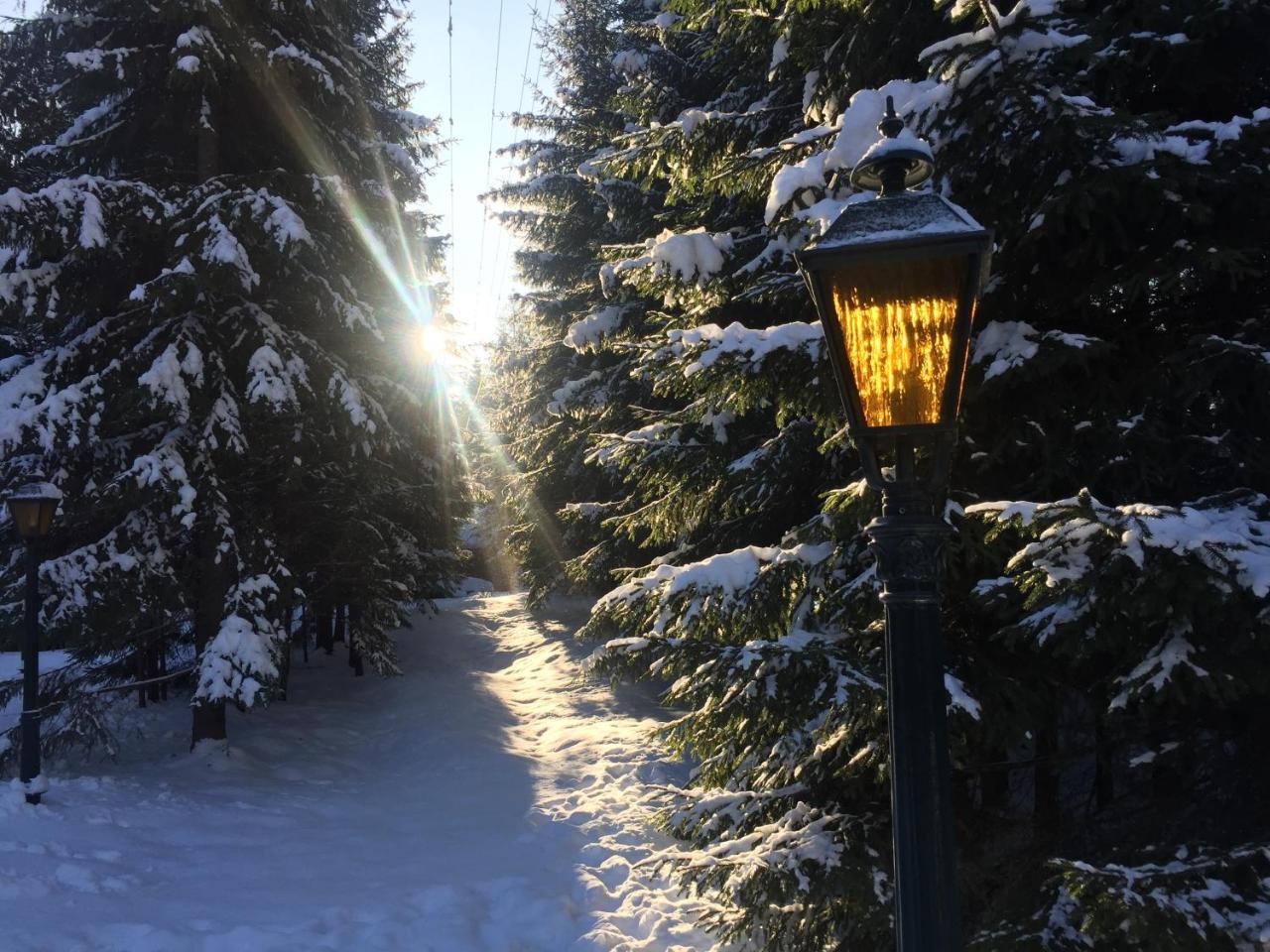 Лісовий Маєток Slavske Esterno foto
