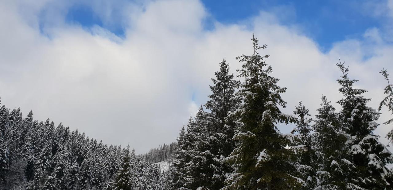 Лісовий Маєток Slavske Esterno foto