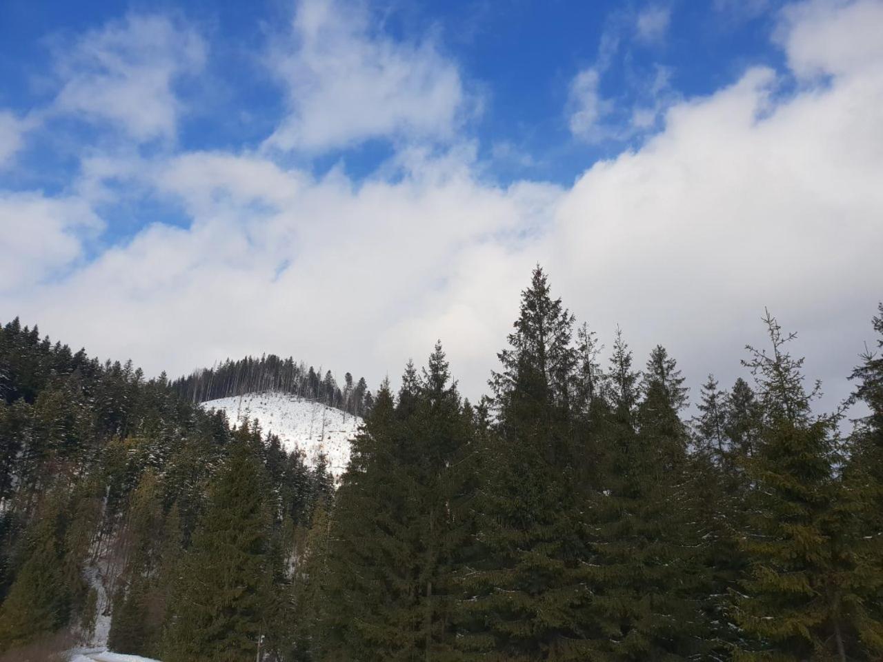 Лісовий Маєток Slavske Esterno foto