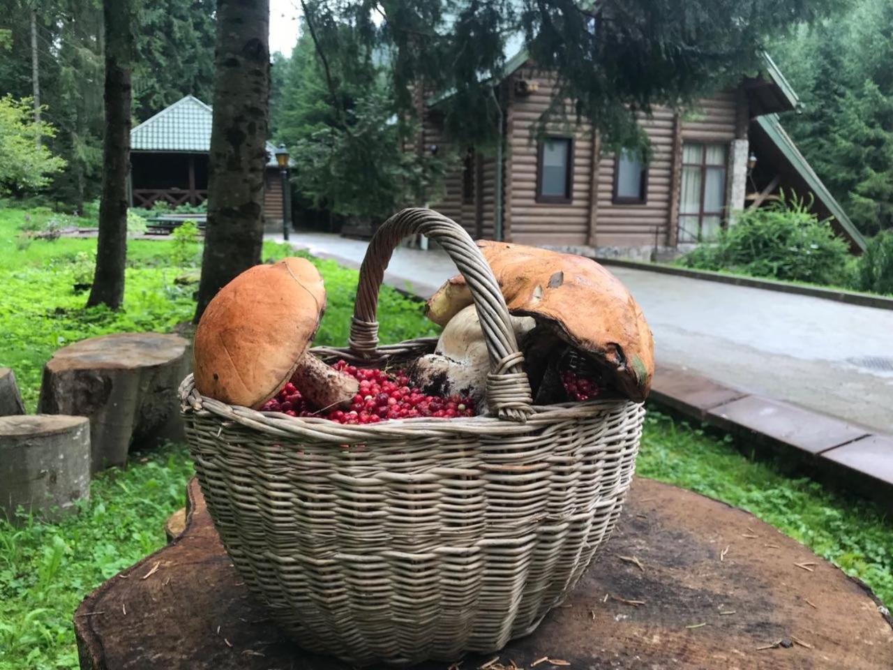 Лісовий Маєток Slavske Esterno foto